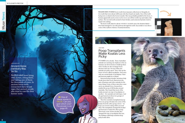 MUS1900_06_MuseNews_Spreads_Page_1